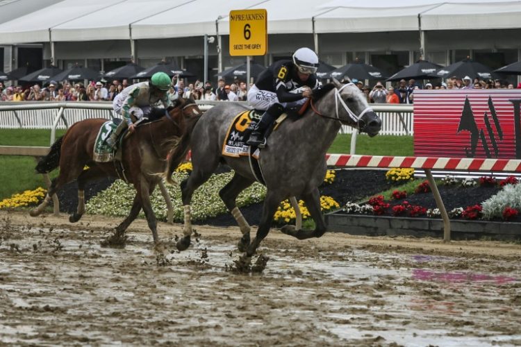 Jockey Jaime Torres riding Seize the Grey on the way to victory in the 149th Preakness Stakes. ©AFP