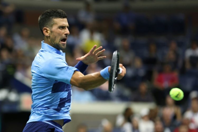 On top: Novak Djokovic returns the ball to Radu Albot. ©AFP