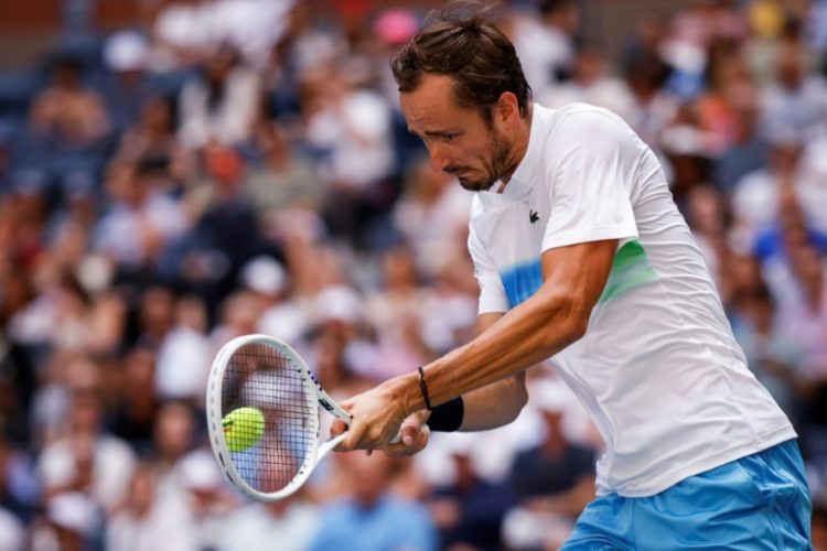 Moving on: Daniil Medvedev returns to  Nuno Borges . ©AFP