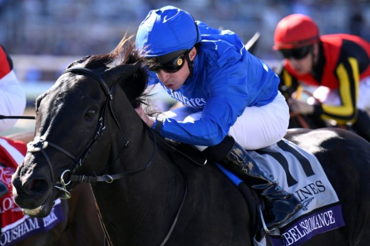 Rebel's Romance ridden by William Buick wins the Breeders' Cup Turf at Del Mar. ©AFP