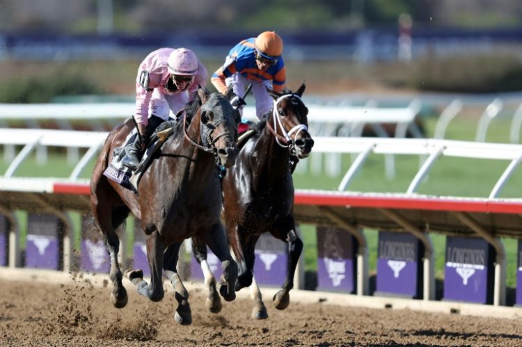 Flavien Prat aboard Sierra Leone passes Fierceness ridden by John Velazquez to win the Breeders' Cup Classic. ©AFP