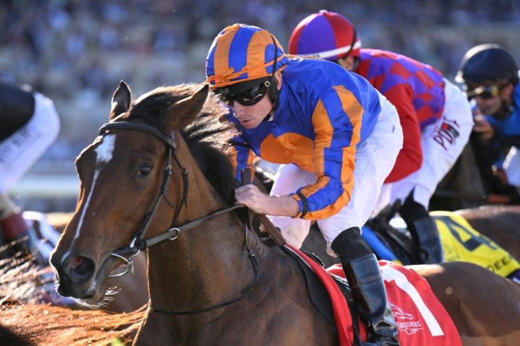 Lake Victoria, ridden by Ryan Moore, wins the Breeders' Cup Juvenile Fillies Turf at Del Mar. ©AFP